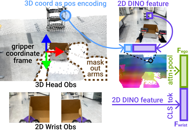 Observation 3D Representation